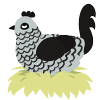 Lupophobia, a silver and sable chicken with a lace pattern