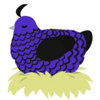 Osmophobia, a indigo and black chicken with a lace pattern