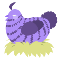 A lilac and overcast chicken with a bar pattern