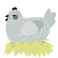 Silverbells, a silver chicken with a lace pattern