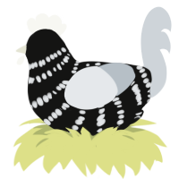 (unnamed), a black and mist chicken with a bar pattern