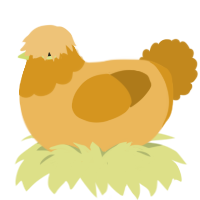 Mushy, a honey and ochre chicken with a head pattern