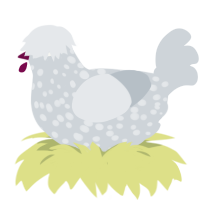 Informer, a mist chicken with a speckle pattern