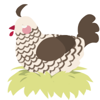 Barron, a cream and bark chicken with a lace pattern