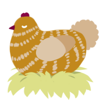 tosses them at u, a ochre and beige chicken with a bar pattern