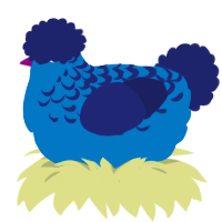 Berry, a sapphire and navy chicken with a half-lace pattern