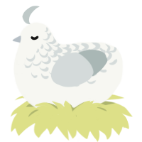 Mist, a white and silver chicken with a half-lace pattern