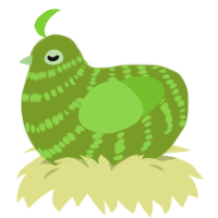 soursop, a chartreuse and grass chicken with a bar pattern