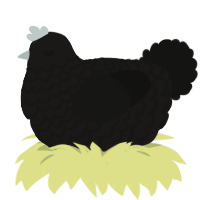 (unnamed), a sable and black chicken with a lace pattern
