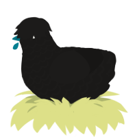 pierce the veil, a sable chicken with a lace pattern