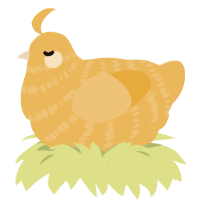 A honey chicken with a bar pattern