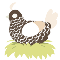 Cappuccino, a bark and cream chicken with a lace pattern