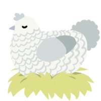 (unnamed), a white and silver chicken with a lace pattern