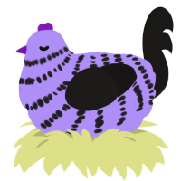 A lilac and sable chicken with a bar pattern
