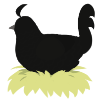 (unnamed), a black chicken with a lace pattern