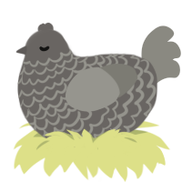 (unnamed), a grey and ash chicken with a lace pattern