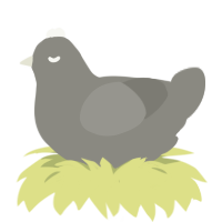 A ash chicken
