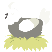 Pidegon, a ash and white chicken with a head pattern
