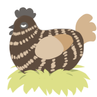 Chocolate, a bark and beige chicken with a bar pattern