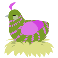 Tot, a chartreuse and orchid chicken with a bar pattern