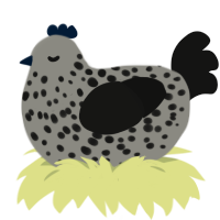 memento mori, a ash and black chicken with a speckle pattern