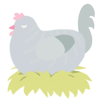 Bawk-Tuah, a mist and silver chicken with a half-bar pattern