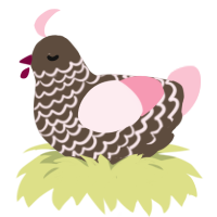 Truffle, a bark and rose chicken with a lace pattern