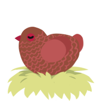 Apple Cinnamon Spice, a russet and red chicken with a lace pattern