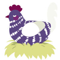 Audrina, a overcast and white chicken with a bar pattern