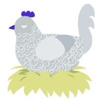 Nostalgic Memory, a silver and mist chicken with a double-lace pattern