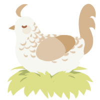 Beige Lace, a white and beige chicken with a half-lace pattern