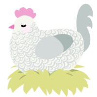 Spork, a white and silver chicken with a double-lace pattern
