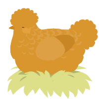 Orange, a orange chicken with a half-lace pattern