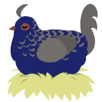 Ablutophobia, a navy and grey chicken with a half-lace pattern