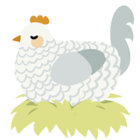 Automysophobia, a white and silver chicken with a lace pattern