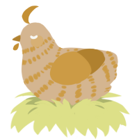 Disco Fries, a beige and gold chicken with a bar pattern