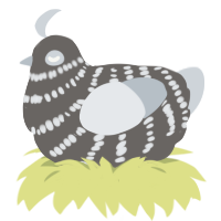 (unnamed), a grey and mist chicken with a bar pattern