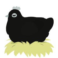 (unnamed), a black chicken with a neck-band pattern