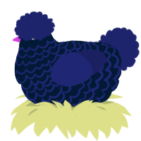 sweet, a tumblr and navy chicken with a lace pattern