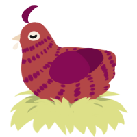 A red and wine chicken with a bar pattern