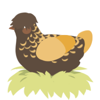 A bark and honey chicken with a half-lace pattern