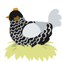 Gilded porcelain, a sable and mist chicken with a lace pattern
