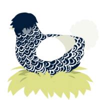 Snowstorm, a tumblr and white chicken with a double-lace pattern