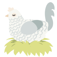 Latte, a white and silver chicken with a lace pattern