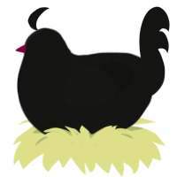 song, a black chicken with a half-lace pattern