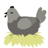 spoon, a grey and ash chicken with a head pattern