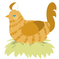 Catrina, a honey and ochre chicken with a bar pattern