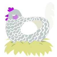 punch, a silver and white chicken with a lace pattern