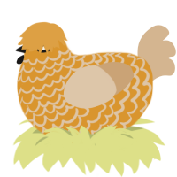 pompom garland, a orange and beige chicken with a lace pattern