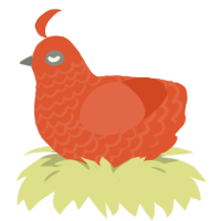 A vermilion chicken with a lace pattern